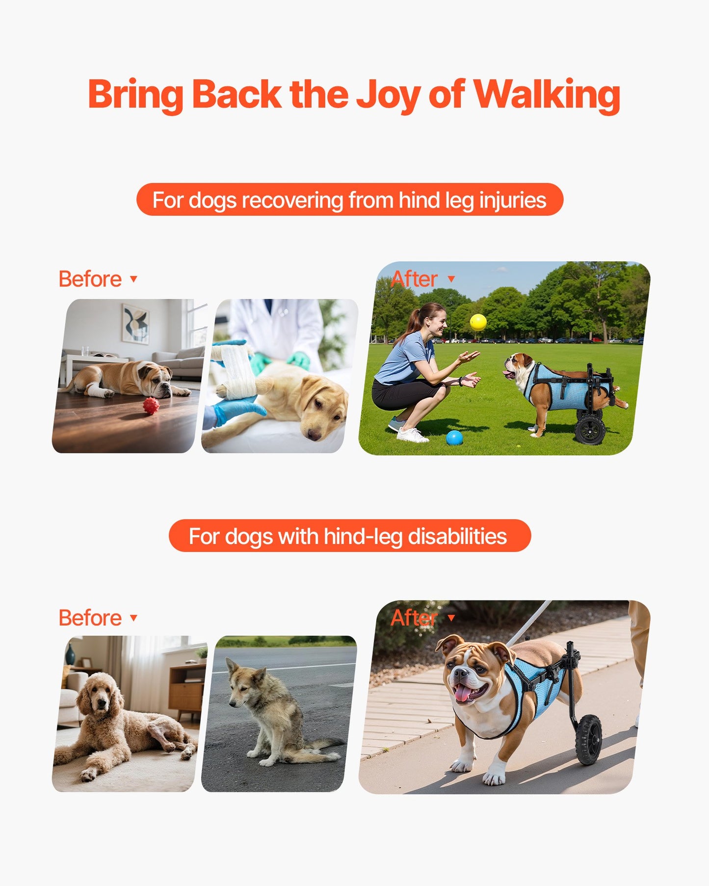 Dog Wheelchair For Back Legs, Adjustable For Dogs Up To 33lbs.