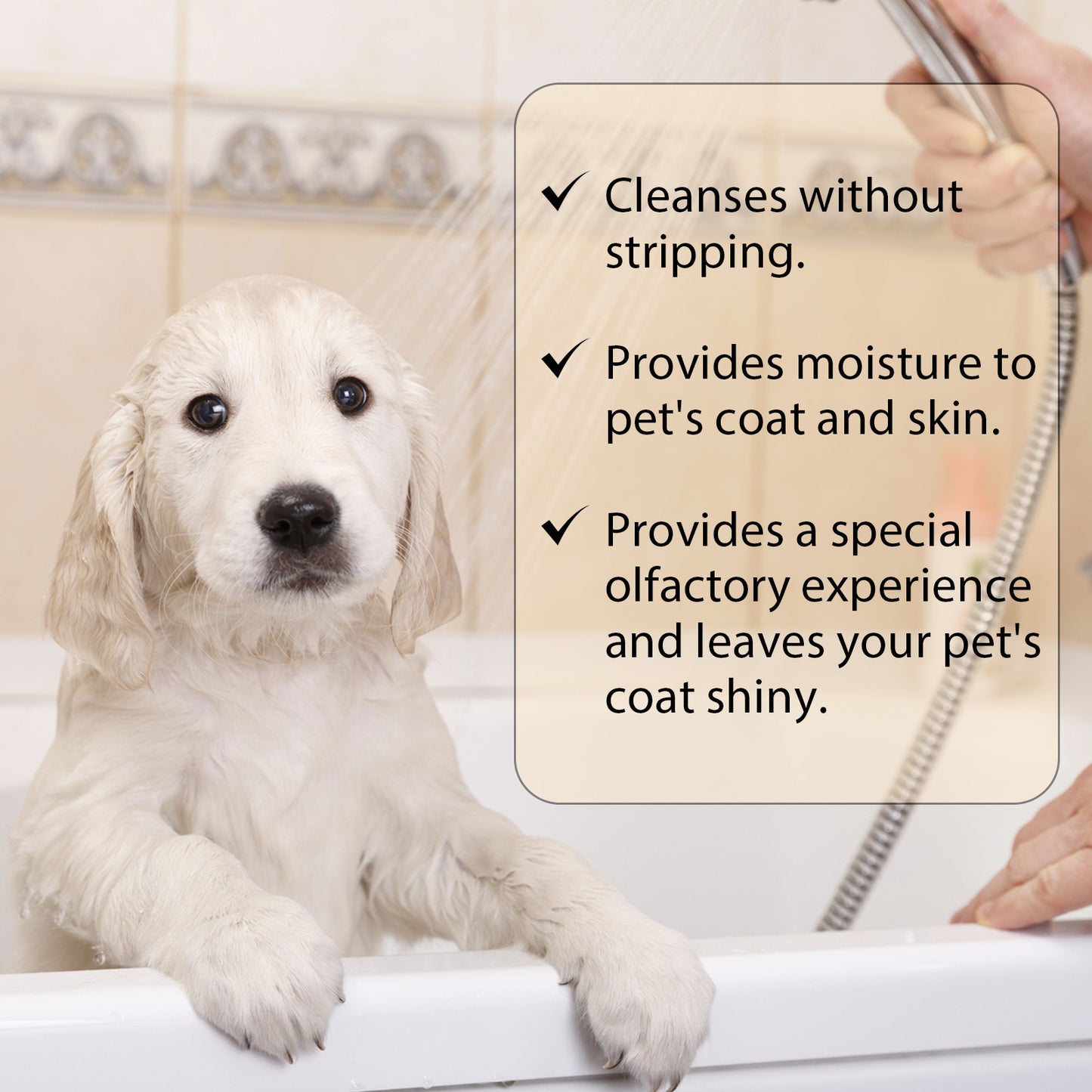 Mild Pet Shampoo for Dogs & Cats – Soft Coat Care & Detangling Formula (100ml / 300ml)