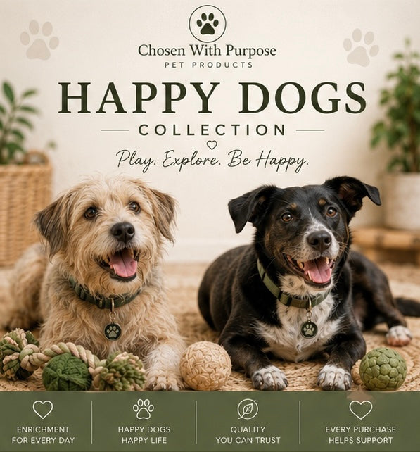 Happy Dogs 🐕