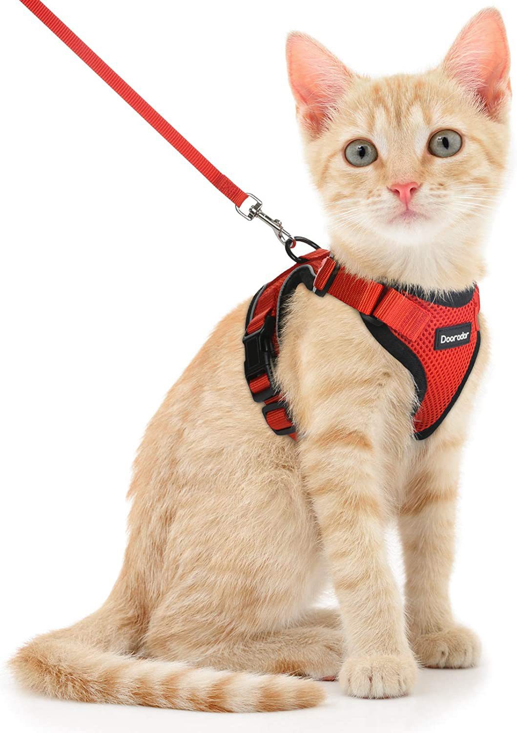 Adjustable Anti-Escape Cat Leash & Harness Set For Secure Outdoor Walks