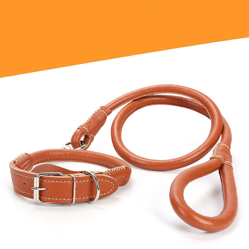 Leather Dog Collar – Adjustable Heavy Duty Pet Collar for Small to Extra Large Dogs