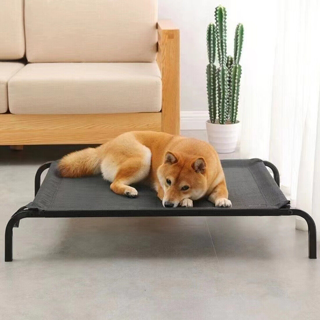 Elevated Waterproof Mesh Pet Bed – Raised Folding Camp Cot for Dogs & Cats