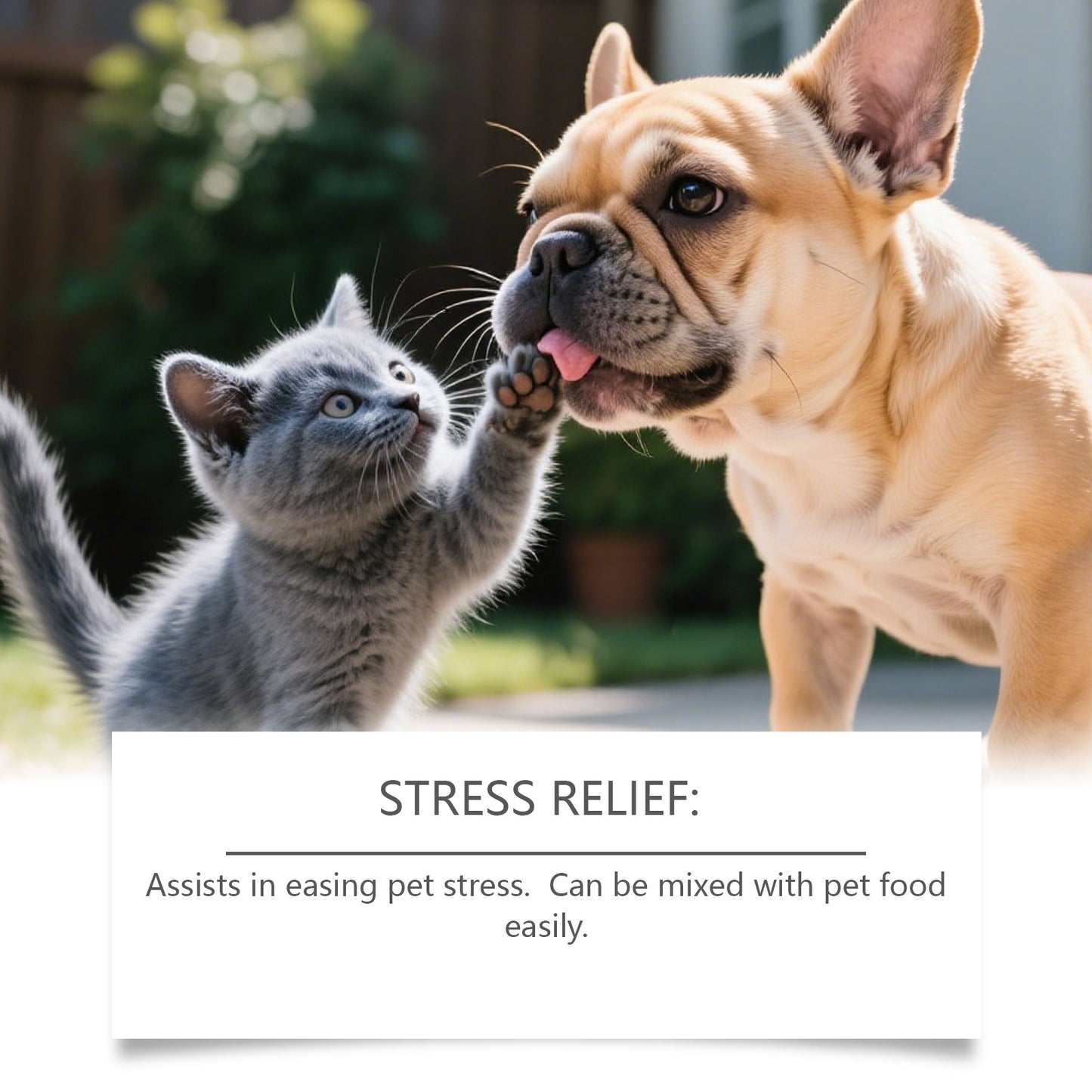 Kriath Pet Wellness Drops – Gentle Daily Comfort Formula for Cats & Dogs