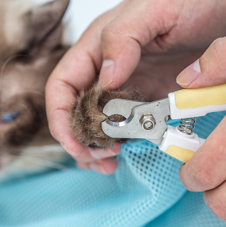 Cat Grooming & Bathing Bag – Breathable Mesh Restraint Bag for Safe Care