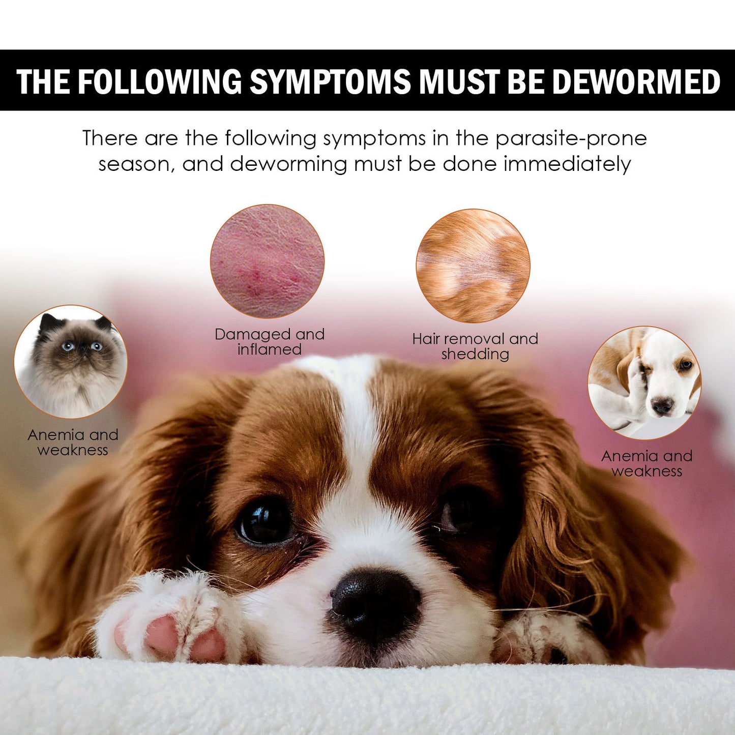 Yegbong Flea & Tick Repellent Drops for Pets