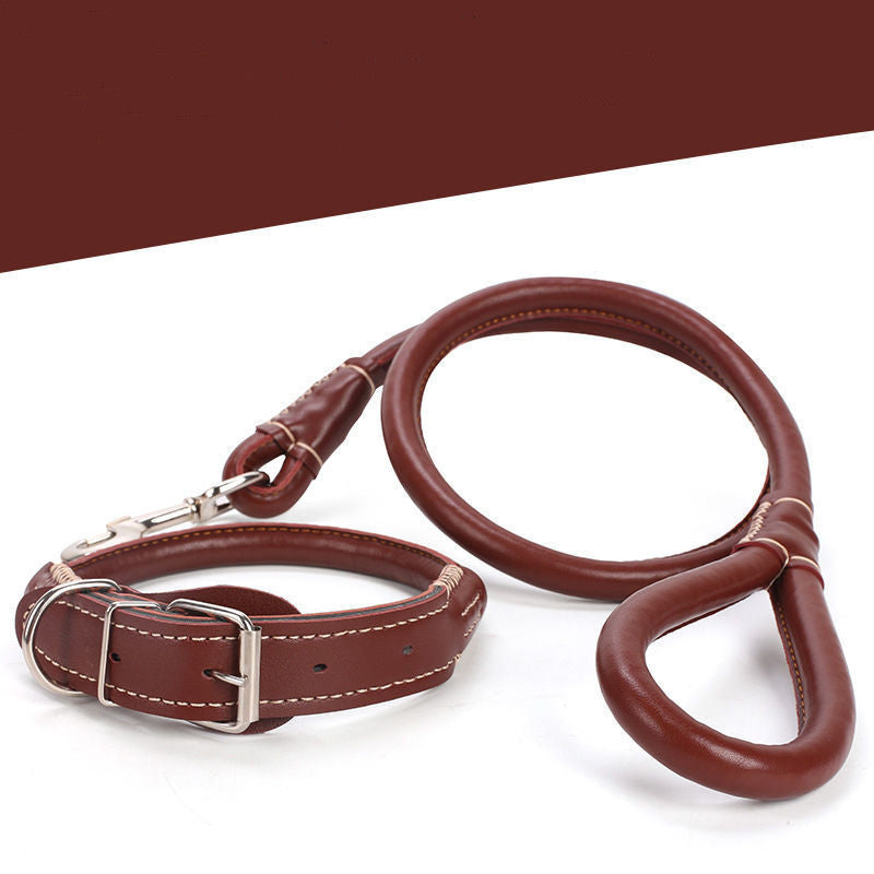 Leather Dog Collar – Adjustable Heavy Duty Pet Collar for Small to Extra Large Dogs