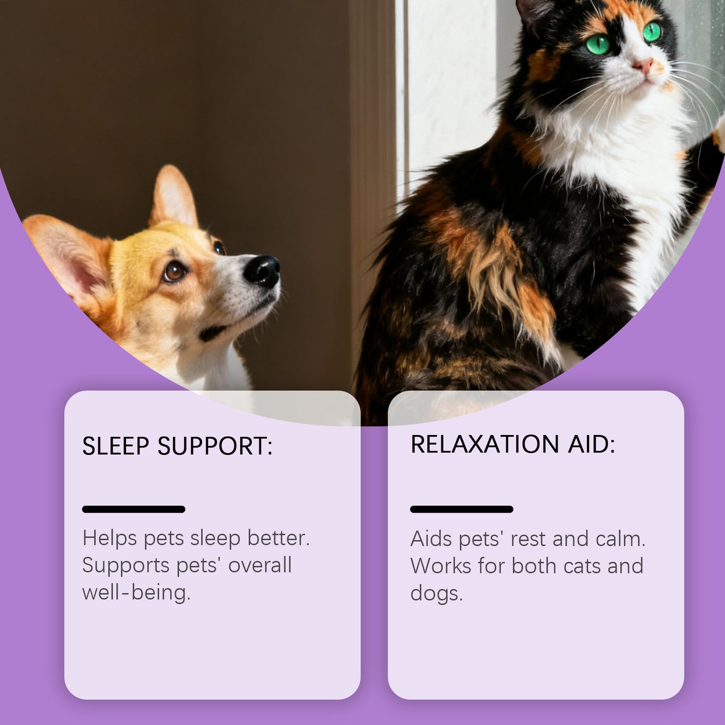 Kriath Pet Wellness Drops – Gentle Daily Comfort Formula for Cats & Dogs