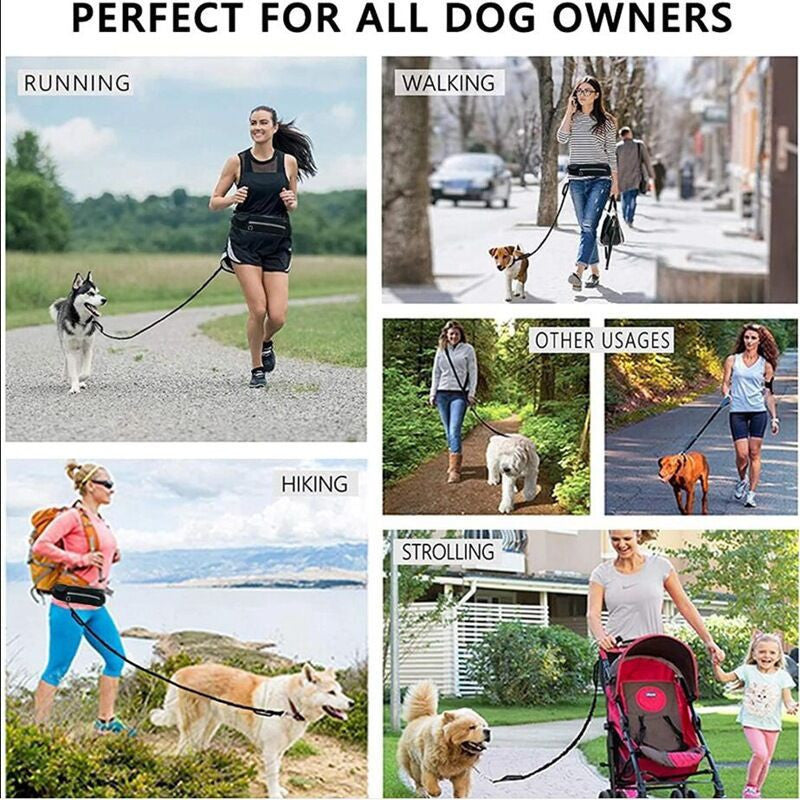 Bungee Hands-Free Dog Lead with Waist Belt & Storage Pouch – Running & Walking Leash