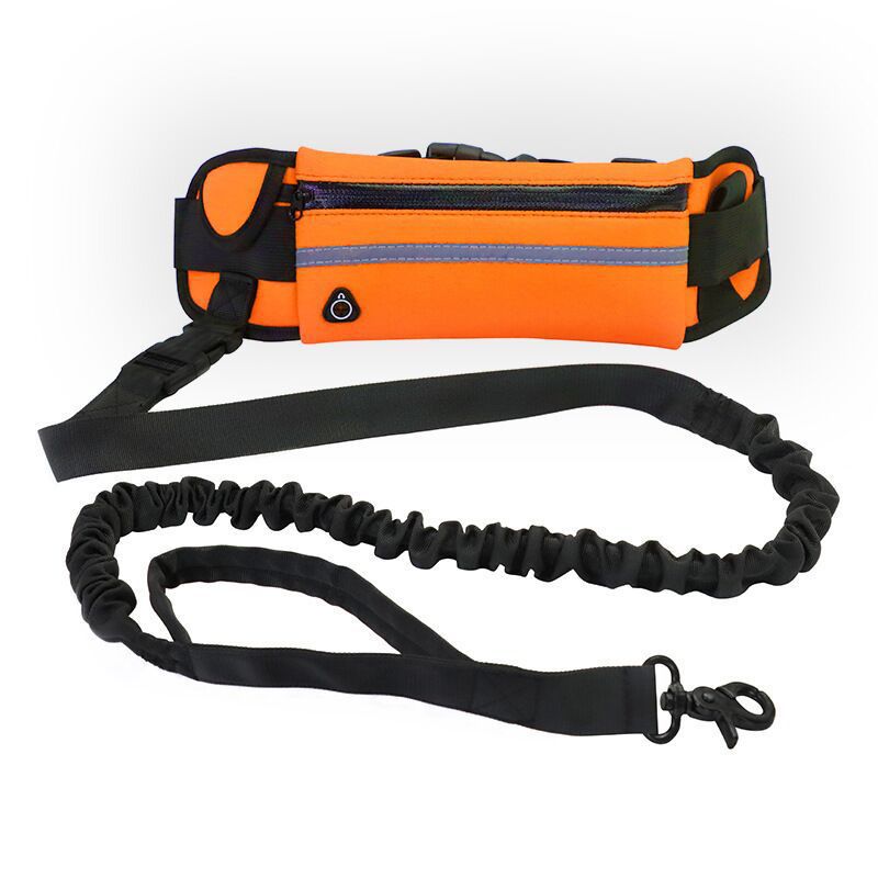 Bungee Hands-Free Dog Lead with Waist Belt & Storage Pouch – Running & Walking Leash