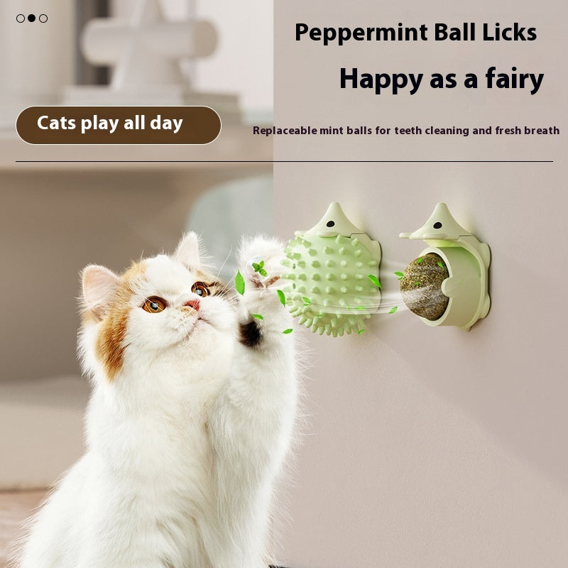 Hedgehog Scratching &  Itching Toy & Catnip Ball