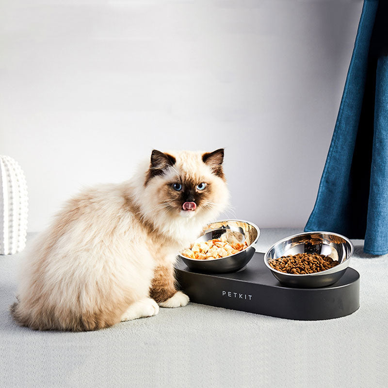 Adjustable Stainless Steel Cat Bowls – Elevated 15° Anti-Slip Feeding Station