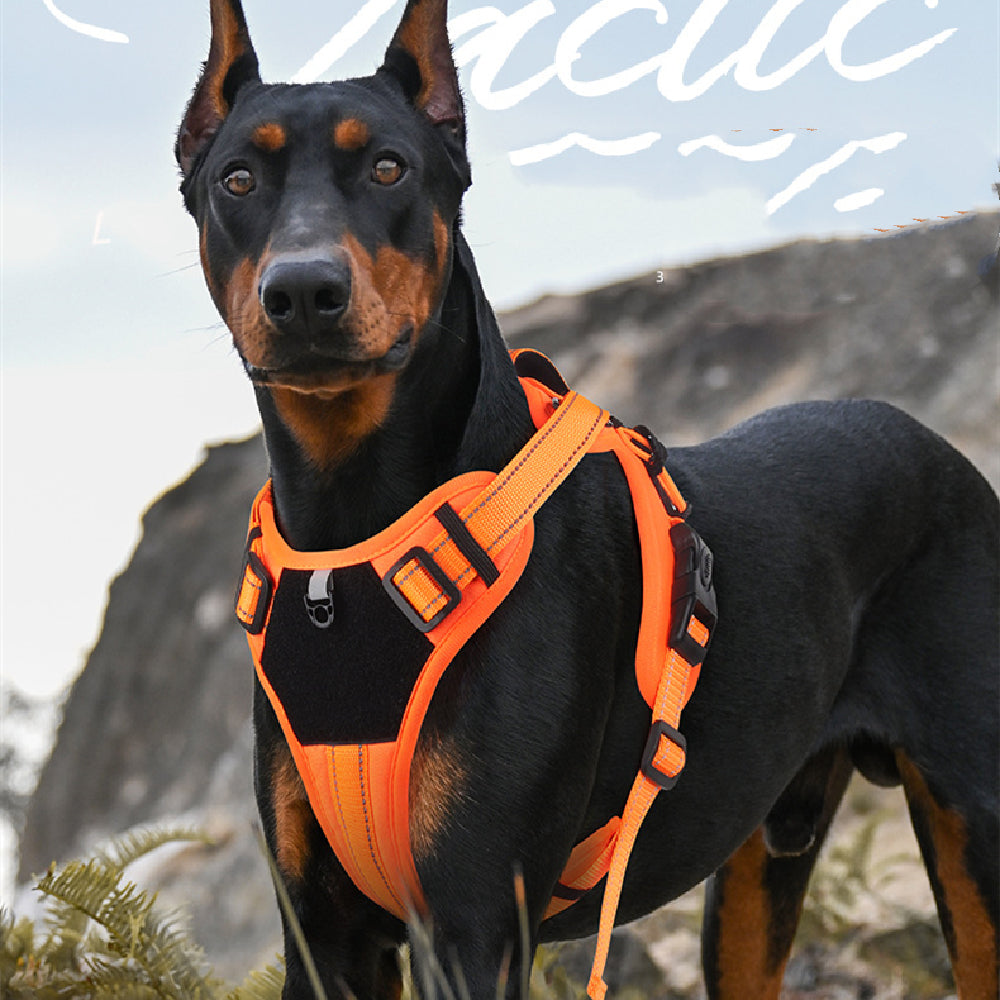 Heavy-Duty Dog Harness with Hand-Held Safety Rope – Anti-Escape Pet Walking Lead