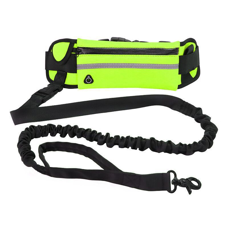 Bungee Hands-Free Dog Lead with Waist Belt & Storage Pouch – Running & Walking Leash