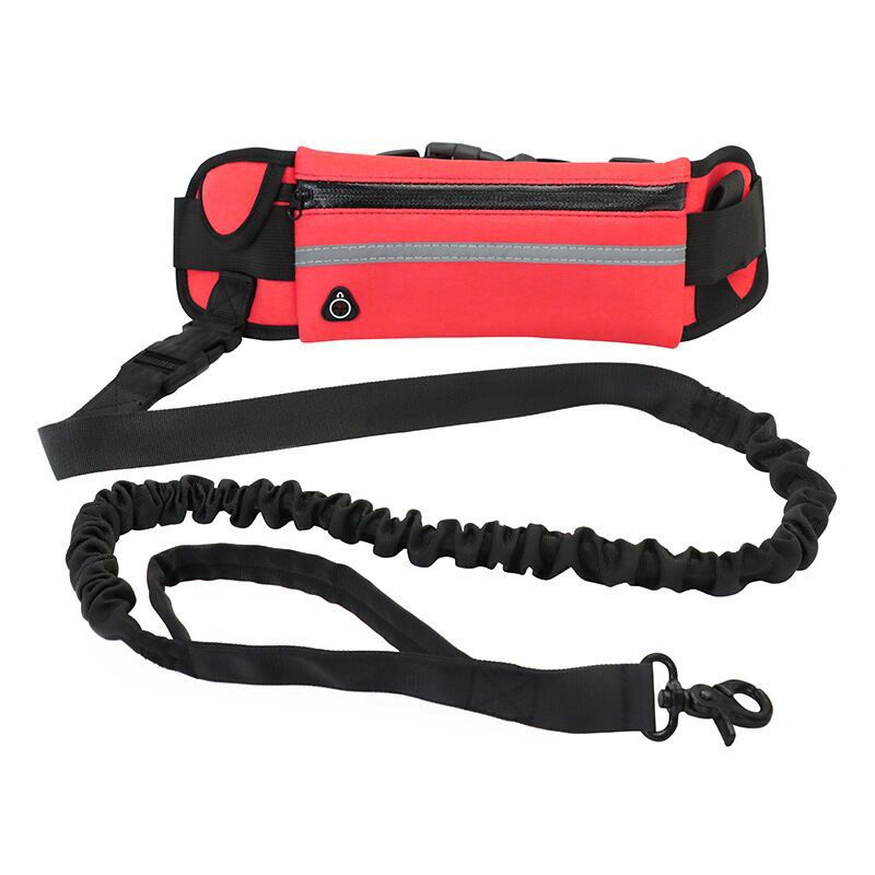 Bungee Hands-Free Dog Lead with Waist Belt & Storage Pouch – Running & Walking Leash