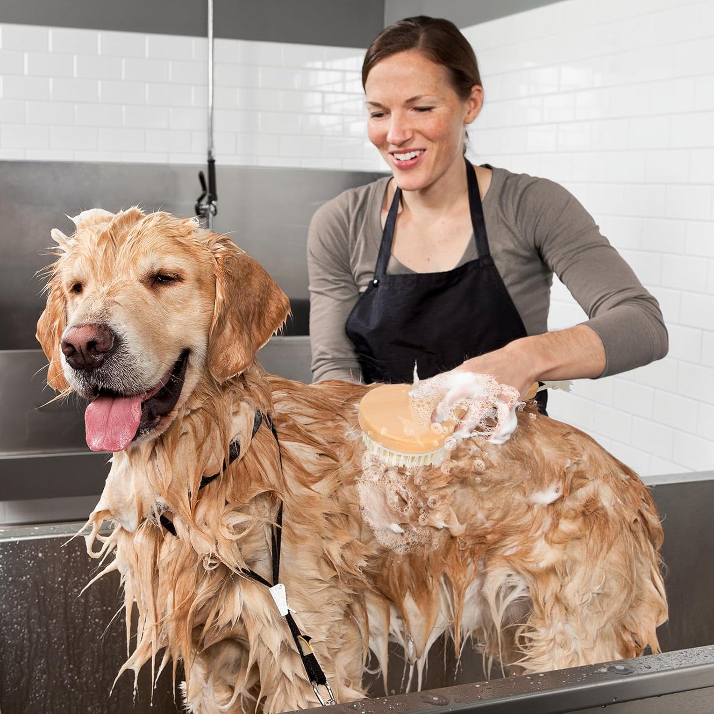 Pet Shampoo Massage Brush – Wooden Handle Bath & Grooming Brush for Dogs & Cats