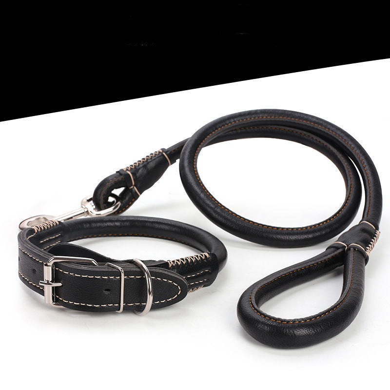 Leather Dog Collar – Adjustable Heavy Duty Pet Collar for Small to Extra Large Dogs