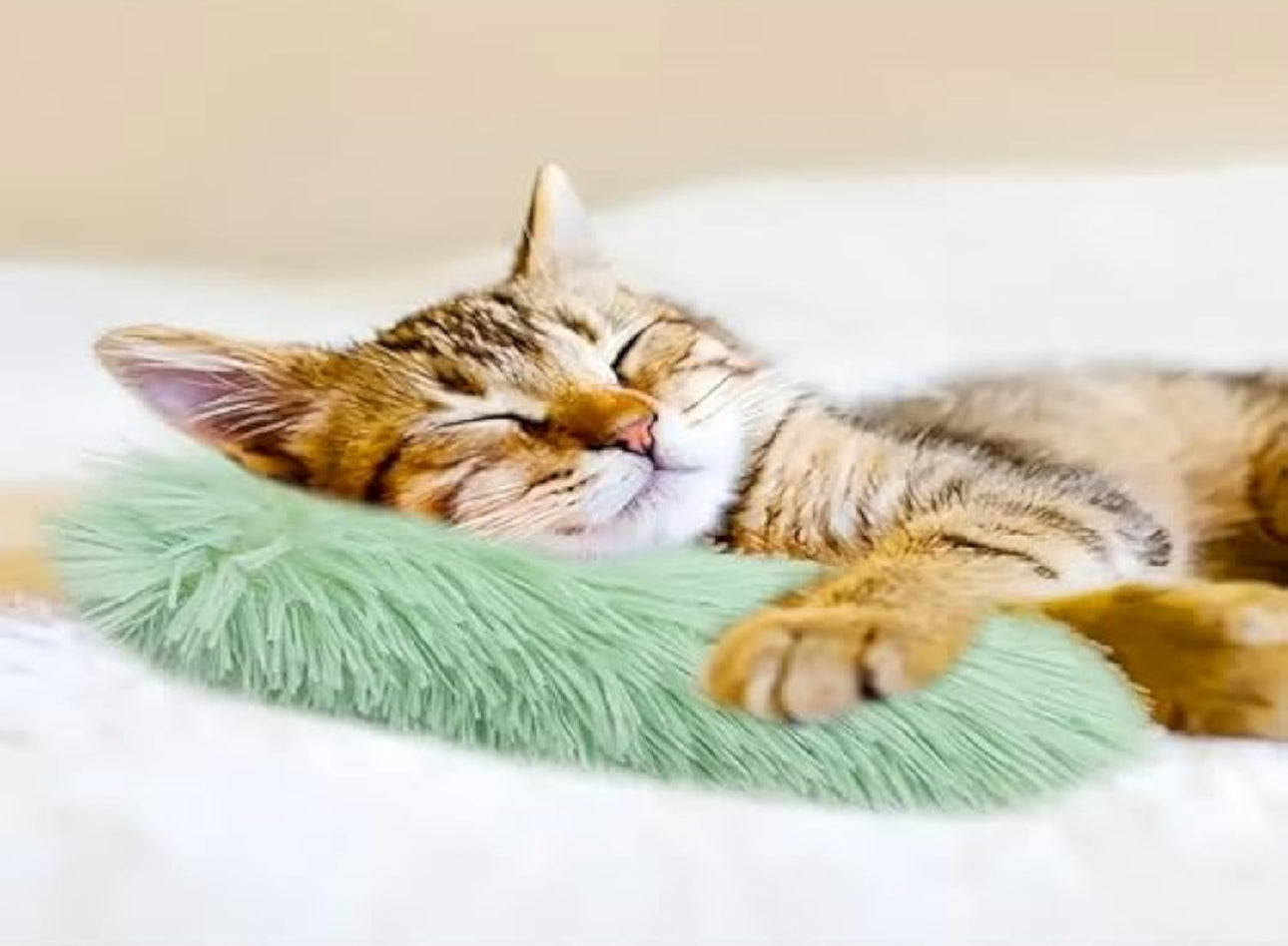 Interactive Cat Pillow with Crinkle Sound & Catnip.