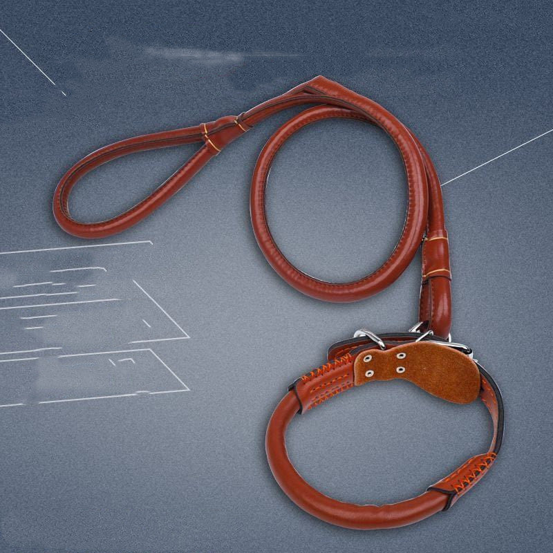 Leather Dog Collar – Adjustable Heavy Duty Pet Collar for Small to Extra Large Dogs