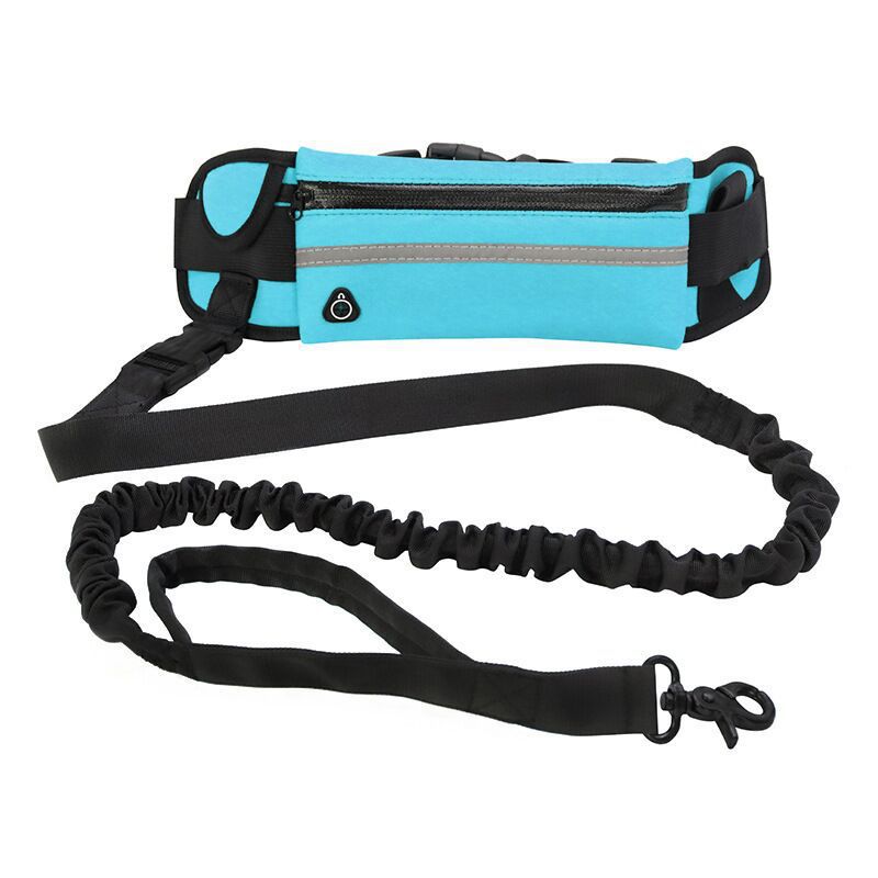 Bungee Hands-Free Dog Lead with Waist Belt & Storage Pouch – Running & Walking Leash