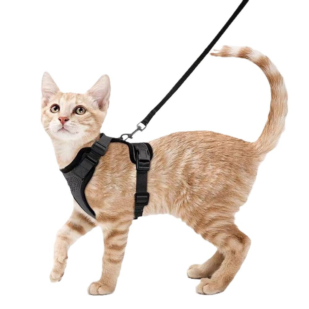 Adjustable Anti-Escape Cat Leash & Harness Set For Secure Outdoor Walks