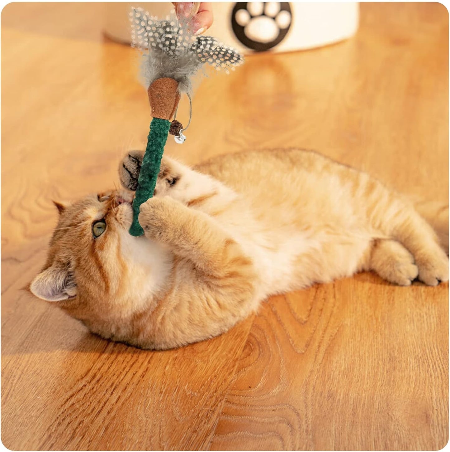 Catnip Chew Toys With Feather For Cats