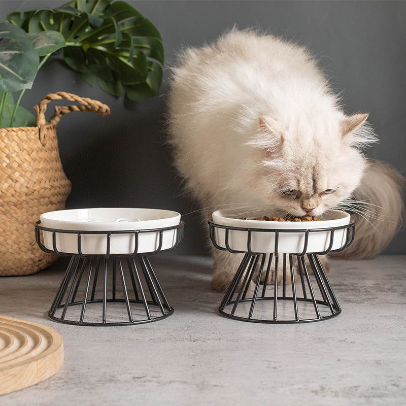 Ceramic Slow Feeder Cat Bowl with Stand – Anti-Gulp Pet Feeding Dish