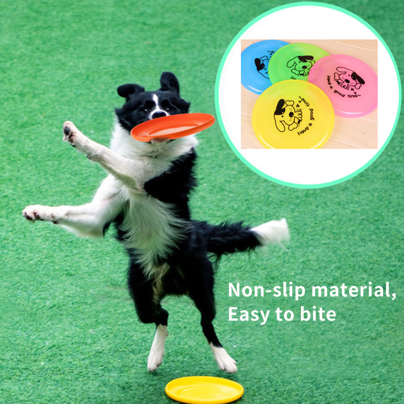 Silicone Flying Disc Dog Toy – Interactive Fetch & Training Frisbee (20cm)