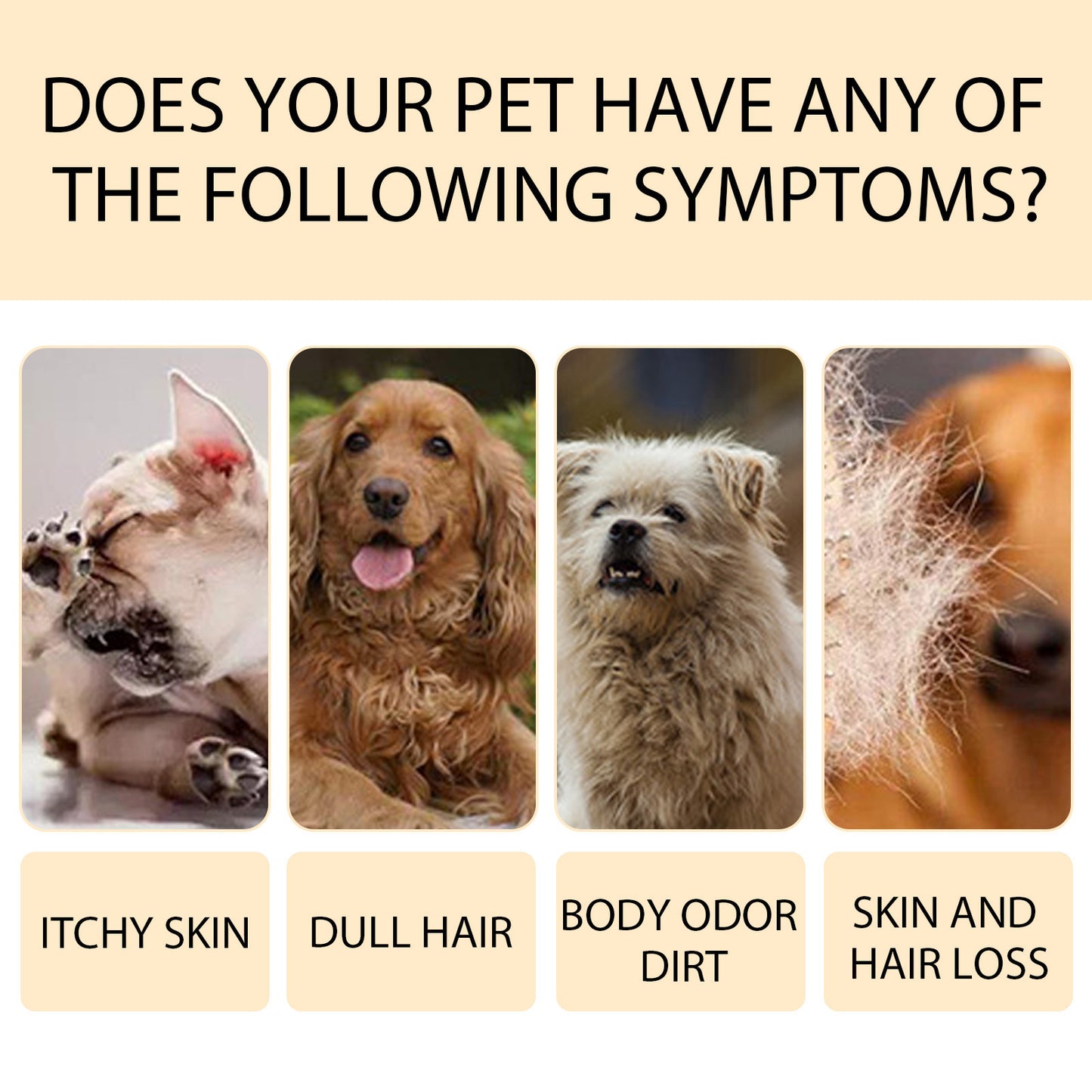 Mild Pet Shampoo for Dogs & Cats – Soft Coat Care & Detangling Formula (100ml / 300ml)