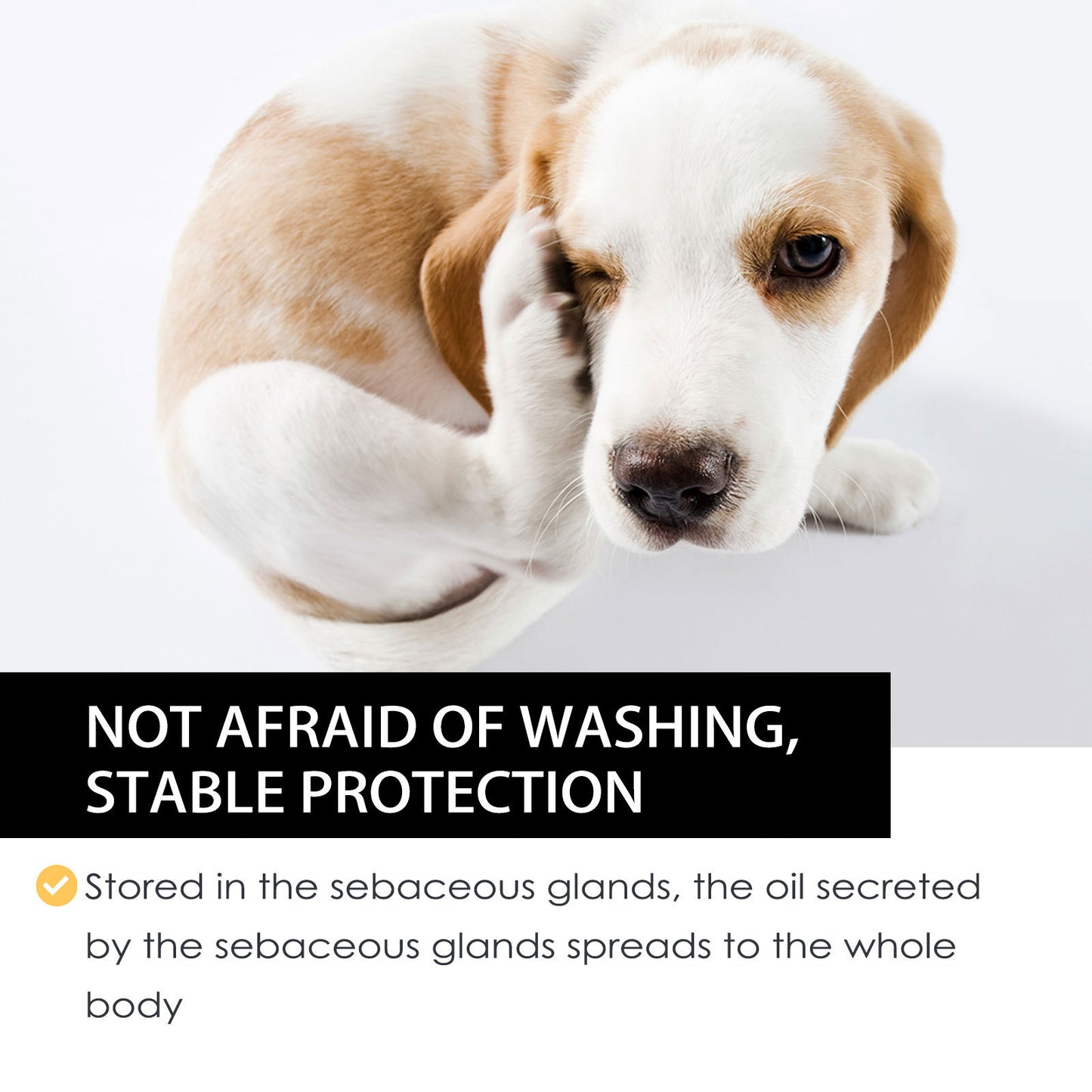 Yegbong Flea & Tick Repellent Drops for Pets