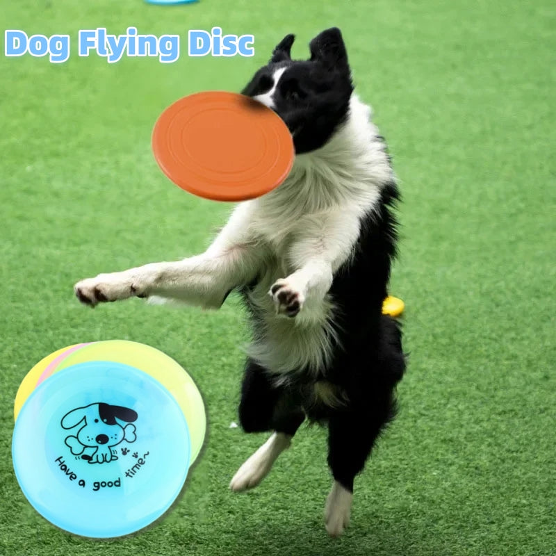 Silicone Flying Disc Dog Toy – Interactive Fetch & Training Frisbee (20cm)