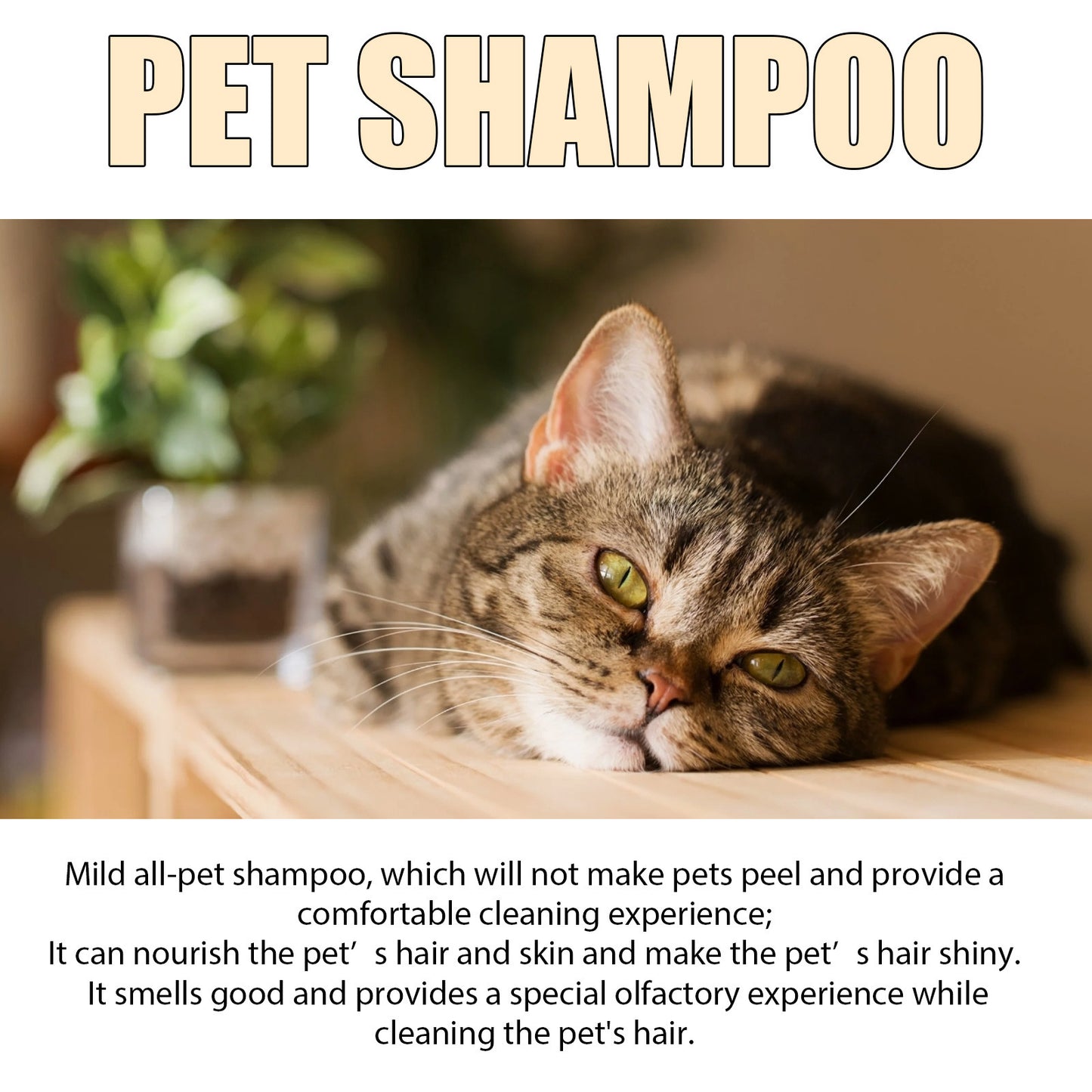 Mild Pet Shampoo for Dogs & Cats – Soft Coat Care & Detangling Formula (100ml / 300ml)