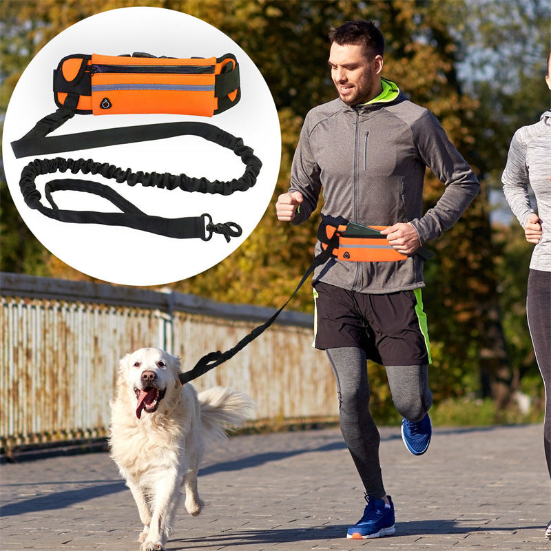 Bungee Hands-Free Dog Lead with Waist Belt & Storage Pouch – Running & Walking Leash