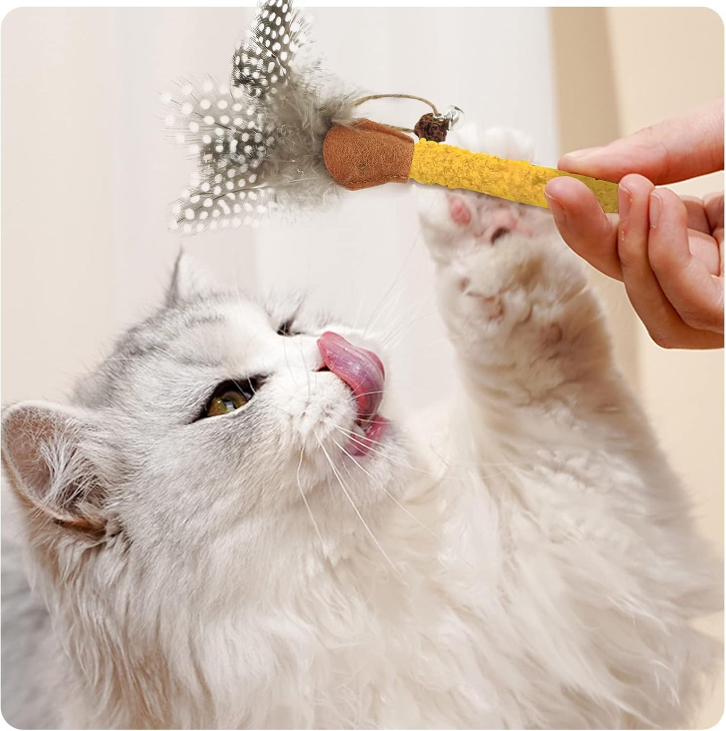 Catnip Chew Toys With Feather For Cats
